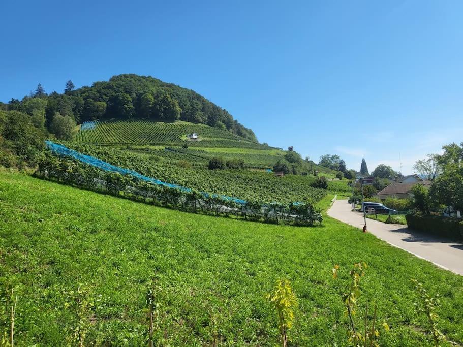 Schoene Einliegerwohnung 200M Vom Wasser Entfernt Stein Am Rhein Ngoại thất bức ảnh